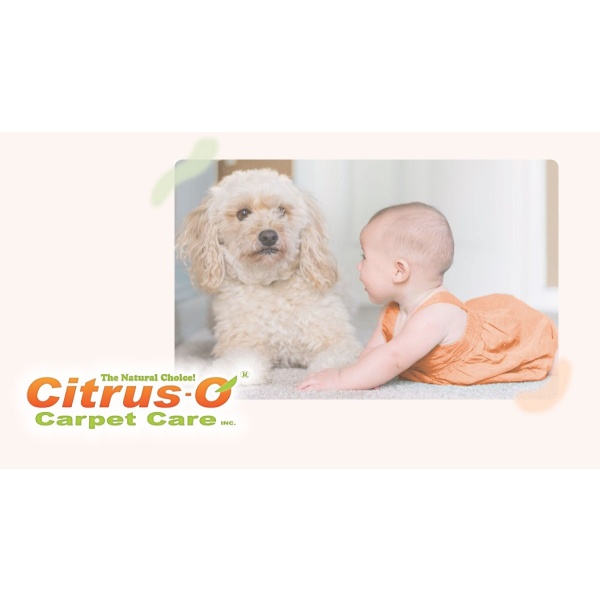 Citrus-Out-Odour-Eliminator-Trigger-Spray-946ml.jpg